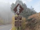 PICTURES/Pikes Peak - No Bust/t_Big Foot Crossing Sign1.jpg